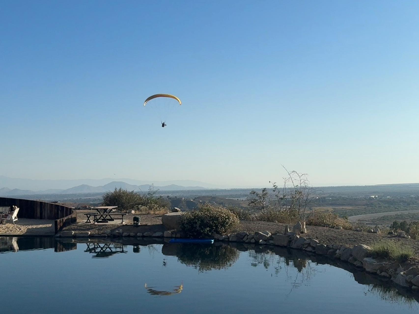 Fly In 4