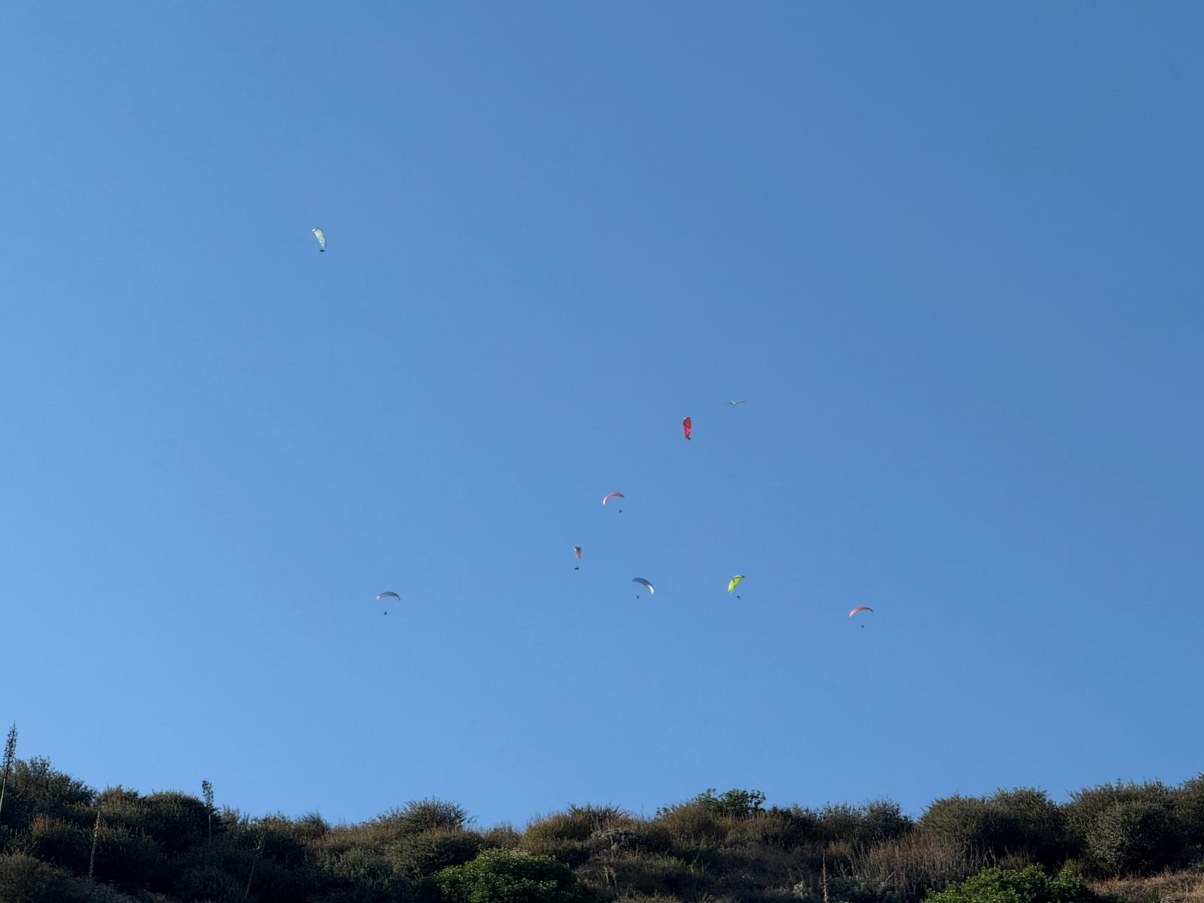 Fly In 6