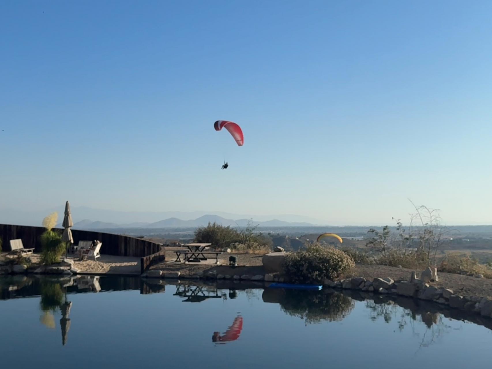Fly In 1
