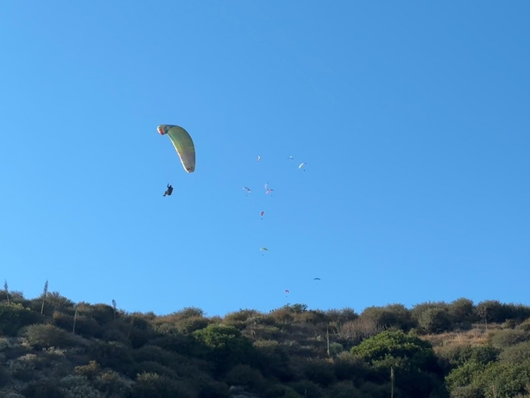 Fly In 8