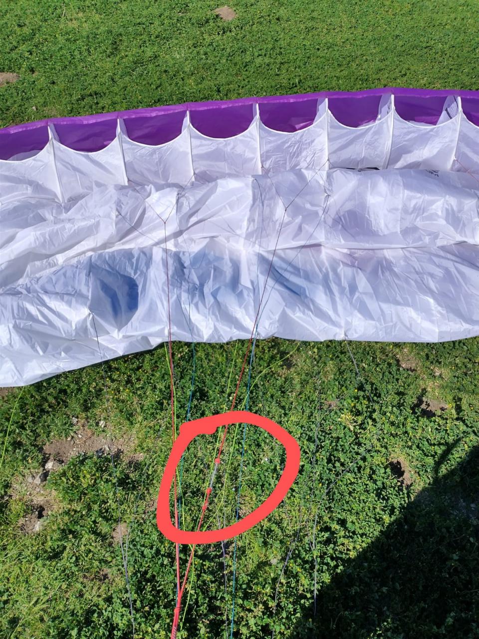 Wing4