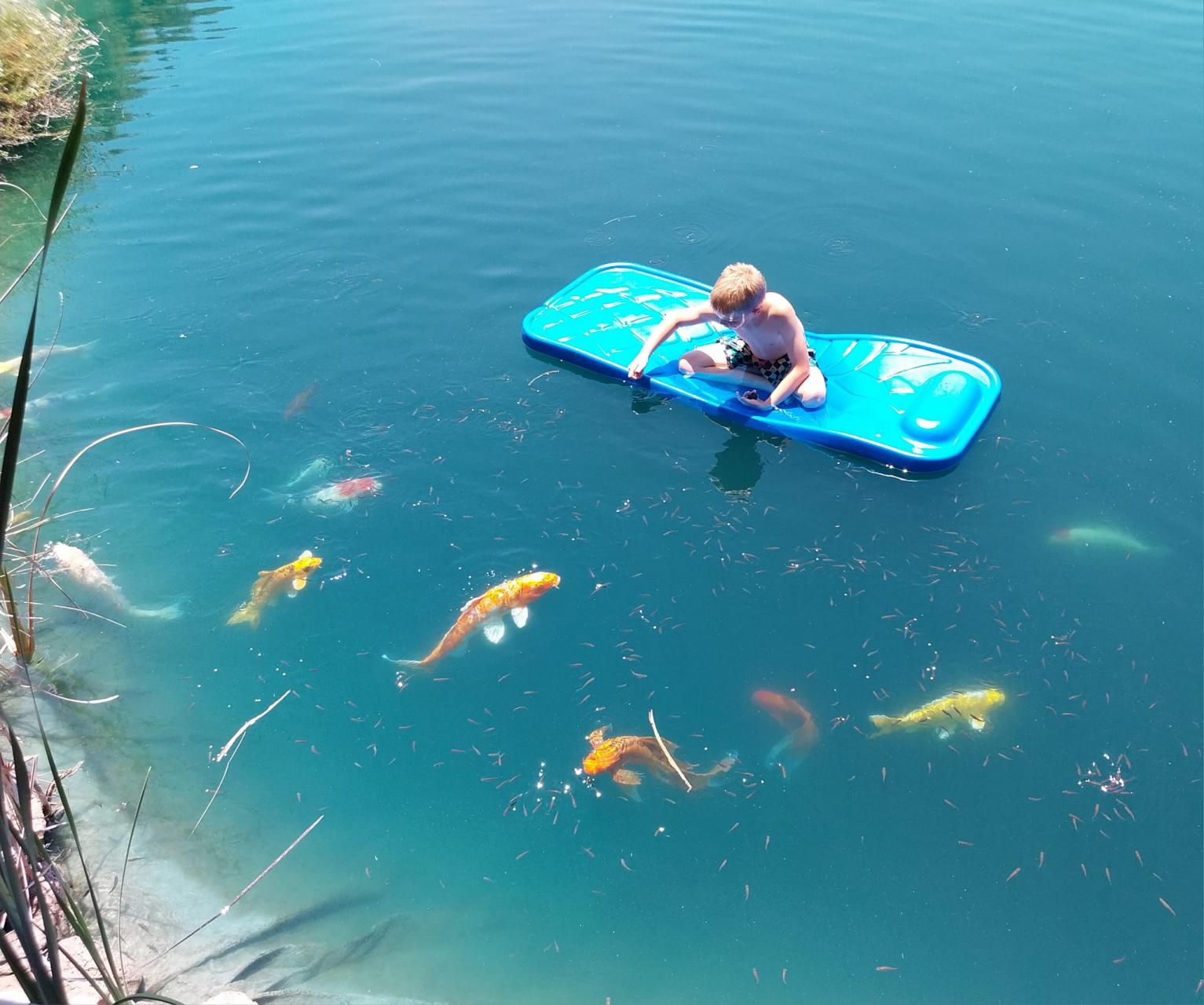 Thomas and fish