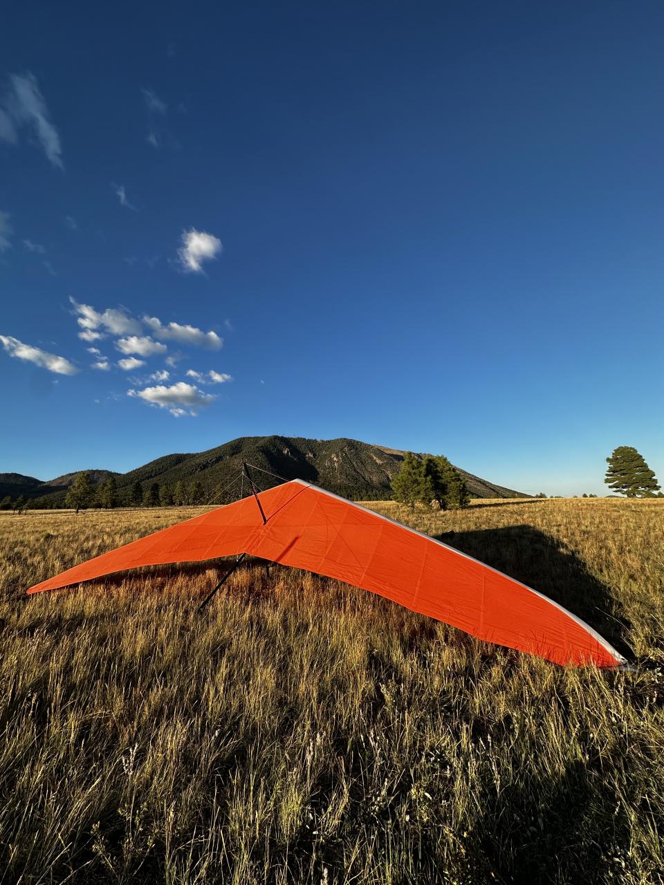 E5D878F5-8D5A-4ABF-9112-7B763CB3EDD6