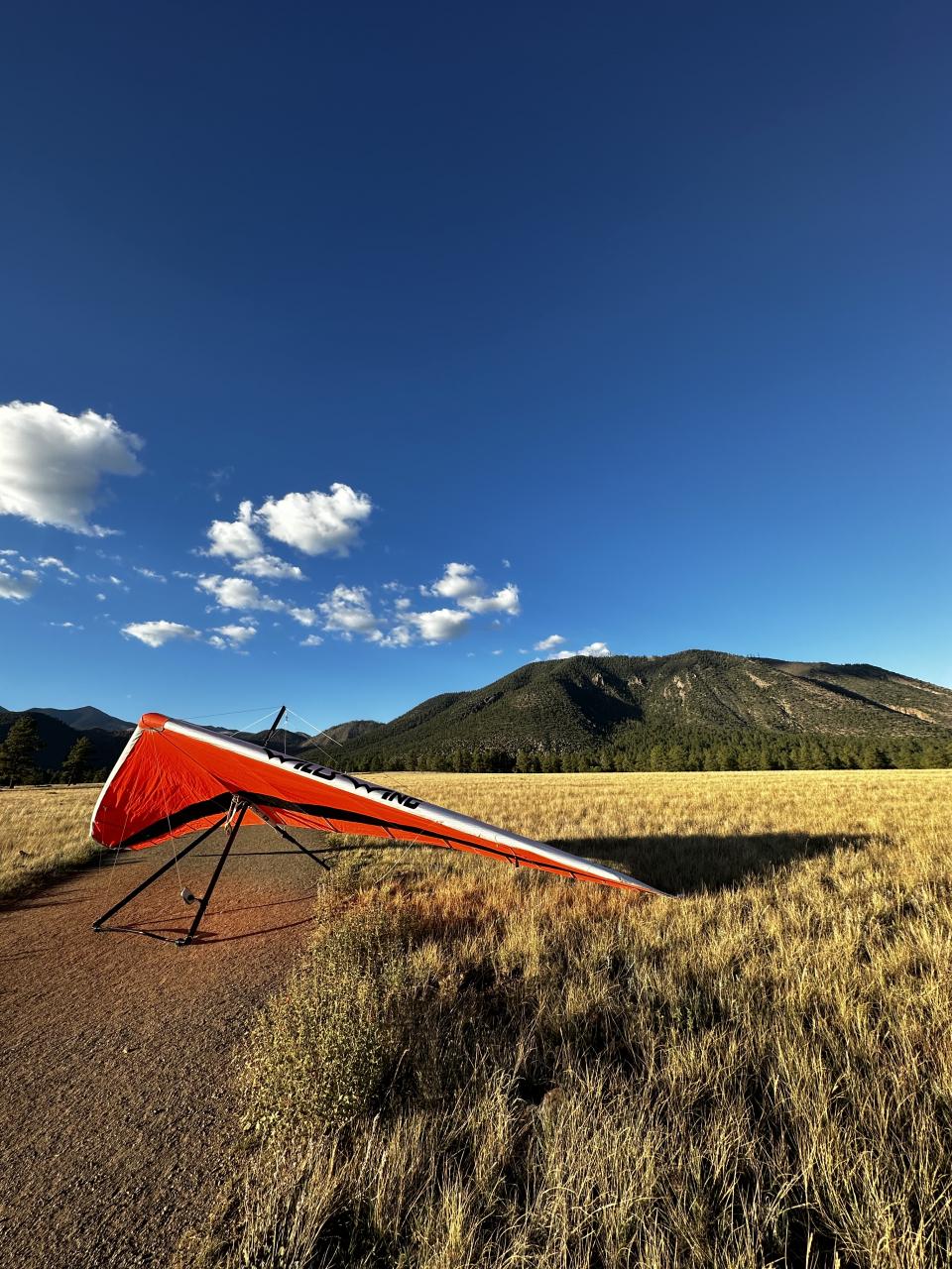 0AB70656-3B49-441B-B1FD-AF0D29F83260